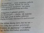Nusigręžusi žvaigždė (Albinas Bernotas) - nuotraukos Nr. 13