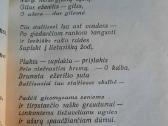 Nusigręžusi žvaigždė (Albinas Bernotas) - nuotraukos Nr. 12