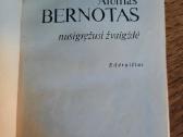 Nusigręžusi žvaigždė (Albinas Bernotas) - nuotraukos Nr. 4