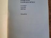 Ramios saulės metai (Ramūnas Kasparavičius) - nuotraukos Nr. 3