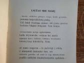 Ramios saulės metai (Ramūnas Kasparavičius) - nuotraukos Nr. 11