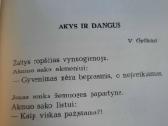 Ramios saulės metai (Ramūnas Kasparavičius) - nuotraukos Nr. 6