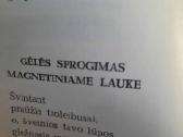 Ramios saulės metai (Ramūnas Kasparavičius) - nuotraukos Nr. 7