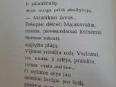 Ramios saulės metai (Ramūnas Kasparavičius) - nuotraukos Nr. 8