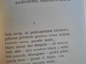 Ramios saulės metai (Ramūnas Kasparavičius) - nuotraukos Nr. 9