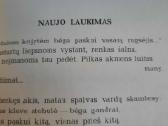 Ramios saulės metai (Ramūnas Kasparavičius) - nuotraukos Nr. 10