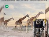 Suntek hc-900pro 4G medžioklinė kamera - nuotraukos Nr. 10