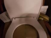 Wc Dangtis 44/38 - nuotraukos Nr. 2