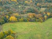 Žemė sodybos atstatymui Šilalės Rajone - nuotraukos Nr. 5