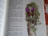 Senų laikų pasakų knygos vaikams rusų kalba - nuotraukos Nr. 13