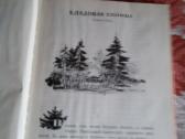 Senų laikų pasakų knygos vaikams rusų kalba - nuotraukos Nr. 20
