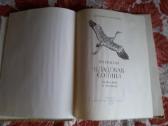 Senų laikų pasakų knygos vaikams rusų kalba - nuotraukos Nr. 19