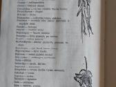 Knyga Hiavatos giesmė - nuotraukos Nr. 6