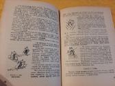 Mokytis slidinėti ant slidžių - nuotraukos Nr. 6