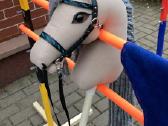 Hobby Horsing Arkliukai - nuotraukos Nr. 34