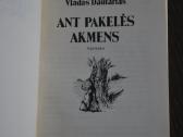 Vladas Dautartas Ant pakelės akmens - nuotraukos Nr. 2