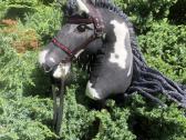 Hobby Horsing Arkliukai - nuotraukos Nr. 12