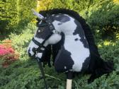 Hobby Horsing Arkliukai - nuotraukos Nr. 13