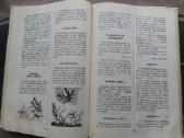 Povandeninis Laikraštis Nikolajus Sladkovas - nuotraukos Nr. 3