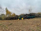 Nemokamas krūmų kirtimas, naikinimas - nuotraukos Nr. 3