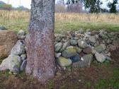 Parduodu natūralius lauko akmenys - nuotraukos Nr. 3