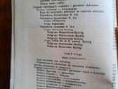 Kaktusy i inne sukulenty (lenkų k.) - nuotraukos Nr. 5