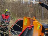 Arboristų paslaugos, medžių pjovimas, genėjimas - nuotraukos Nr. 23
