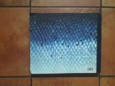 Pekka Antikainen "Viimeiset Lohitalonpojat" 1998 - nuotraukos Nr. 16