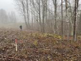 Apleistų sklypų tvarkymas,brangiai perkame biokurą - nuotraukos Nr. 7