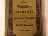 Dr. Karl Doehlemann: Projektive Geometrie 1901m