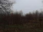 Sklypų valymas,šakų smulkinimas,žolės pjovimas. - nuotraukos Nr. 6