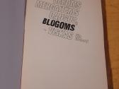 Geroms mergaitėms dangus, blogoms - viskas - nuotraukos Nr. 3