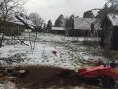 Vaismedžių genėjimas, gyvatvorių karpymas - nuotraukos Nr. 28