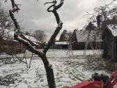 Vaismedžių genėjimas, gyvatvorių karpymas - nuotraukos Nr. 27