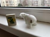Gal kam i kolekcija