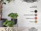 Kalviškas gatvės užrašas -lentelė iki -50% pigiau - nuotraukos Nr. 3