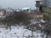 Sklypų valymas,šakų smulkinimas,žolės pjovimas. - nuotraukos Nr. 8