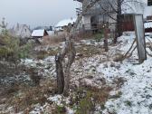Sklypų valymas,šakų smulkinimas,žolės pjovimas. - nuotraukos Nr. 9