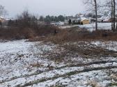 Sklypų valymas,šakų smulkinimas,žolės pjovimas. - nuotraukos Nr. 11