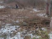 Sklypų valymas,šakų smulkinimas,žolės pjovimas. - nuotraukos Nr. 12