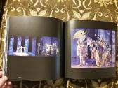 Virginija Idzelytė "Scenografija" 2012 metai - nuotraukos Nr. 11