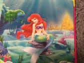 Disney knyga, puzlės, kaladėlės. - nuotraukos Nr. 7