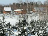 Sodybos nuoma - pramoginė žvejyba - nuotraukos Nr. 5