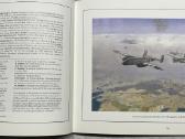 80 Years of the Royal Air Force 1918-1998 - nuotraukos Nr. 3