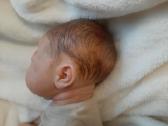 Reborn Enny by Elisa Marx - nuotraukos Nr. 12