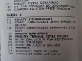 Kwiaty w ogrodku (lenkų k.) 1972 - nuotraukos Nr. 5