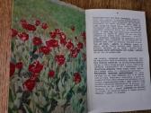 Kwiaty w ogrodku (lenkų k.) 1972 - nuotraukos Nr. 7
