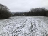Žemė su mišku - nuotraukos Nr. 5