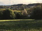 Žemė su mišku - nuotraukos Nr. 10