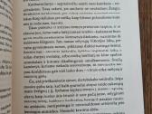 Tarnaitės pasakojimas - nuotraukos Nr. 5